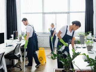 🏢 Office & Commercial Spaces B